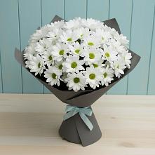 Букет цветов из:  Хризантемы #REPLACE_PRED# Староджерелиевской