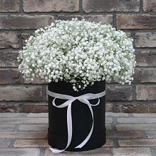 Цветочная композиция из Гипсофила в шляпной коробке в Староджерелиевской